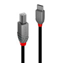 LINDY - Lindy 36943 cable USB 3 m USB 2.0 USB C USB B Negro - 36943
