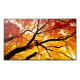 SHARP - Sharp MultiSync PN-M752 189,2 cm (74.5'') LED 550 cd / m² 4K Ultra HD Negro 24/7 - PNM752