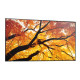 SHARP - Sharp MultiSync PN-M752 189,2 cm (74.5'') LED 550 cd / m² 4K Ultra HD Negro 24/7 - PNM752