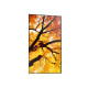 SHARP - Sharp MultiSync PN-M752 189,2 cm (74.5'') LED 550 cd / m² 4K Ultra HD Negro 24/7 - PNM752