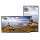 SHARP - Sharp PN-E439 Pantalla plana para señalización digital 109,2 cm (43'') LCD 350 cd