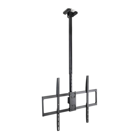 TOOQ - TooQ Soporte de Techo Extensible para Pantallas 50''-100'', Negro - LPCE11100TSLI-B