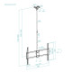 TOOQ - TooQ Soporte de Techo Extensible para Pantallas 50''-100'', Negro - LPCE11100TSLI-B