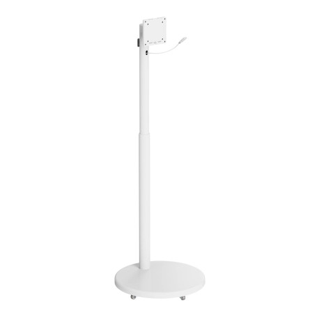 EWENT - Ewent EW1596 soporte para TV 88,9 cm (35'') Blanco - EW1596