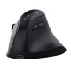 Trust Vyran ratón Universal mano derecha RF Wireless + Bluetooth Óptico 4800 DPI