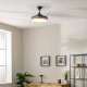 Cecotec EnergySilence Aero 4320 Invisible Wood&Black Madera, Negro