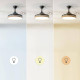 Cecotec EnergySilence Aero 4320 Invisible Wood&Black Madera, Negro