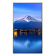 Sharp MultiSync P556 Diseño de quiosco 139,7 cm (55'') LCD 700 cd / m² 4K Ultra HD Negro Procesador incorporado