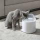 CATLINK PURE 2 comedero y bebedero para perro y gato Acrilonitrilo butadieno estireno