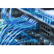 Phasak Cable de Red 100% Cu Cat.6 UTP Sólido Negro 1M