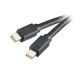 Akasa Mini DisplayPort 2m Negro