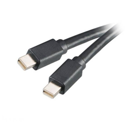 Akasa Mini DisplayPort 2m Negro