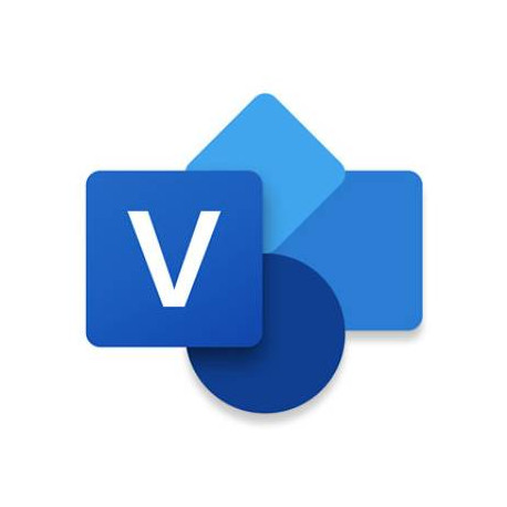 Microsoft Visio Professional 2024 Representación mediante gráficos Completo 1 licencia(s)
