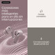 Motorola Moto Buds 2 Auriculares Inalámbrico Dentro de oído Llamadas/Música Bluetooth Violeta