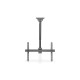 Digitus Soporte universal de techo para televisor con ajuste de altura telescópico