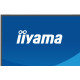 iiyama ProLite XB2797QSNP-W1 27'' IPS LCD pantalla para PC 68,6 cm (27'') 2560 x 1440 Pixeles Quad HD Blanco