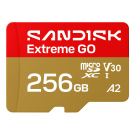 SanDisk Extreme GO 256 GB MicroSDXC UHS-I