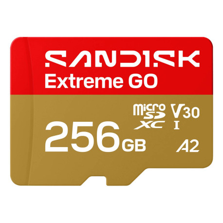 SanDisk Extreme GO 256 GB MicroSDXC UHS-I