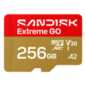 SanDisk Extreme GO 256 GB MicroSDXC UHS-I