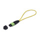 StarTech.com Adaptador Bucle Invertido MPO-12 Monomodo 9/125 MPO/MTP Hembra