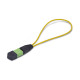 StarTech.com Adaptador Bucle Invertido MPO-12 Monomodo 9/125 MPO/MTP Hembra
