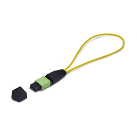 StarTech.com Adaptador Bucle Invertido MPO-12 Monomodo 9/125 MPO/MTP Macho