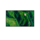 65 Pro BRAVIA 500nit DBNG Standard