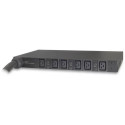 APC Basic Rack 14.4kW Negro unidad de distribución de energía (PDU)