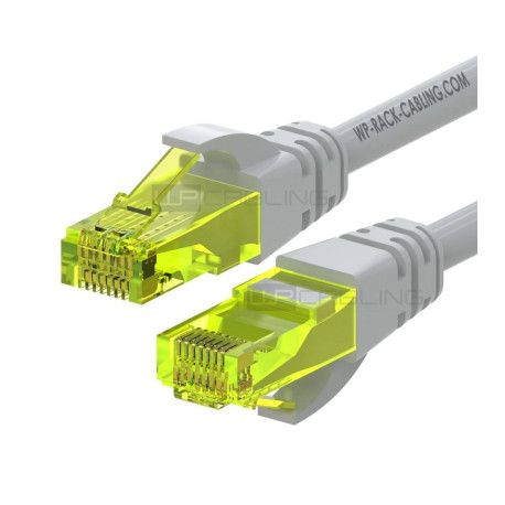 WP WPC-PAT-6AU010 cable de red Gris 1 m Cat6a U/UTP (UTP)