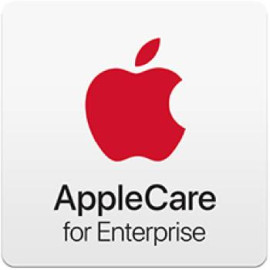 Apple ACE iPad Mini 6Th Gen T3 Ami 24M
