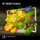 Hisense 43S5Q Televisor 109,2 cm (43'') 4K Ultra HD Smart TV Wifi Plata, Blanco
