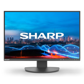 Sharp MultiSync EA241W pantalla para PC 61 cm (24'') 1920 x 1200 Pixeles Full HD LCD Negro