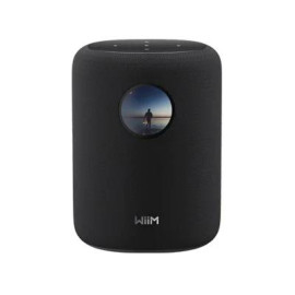 WiiM Sound De 2 vías Negro Inalámbrico y alámbrico 100 W