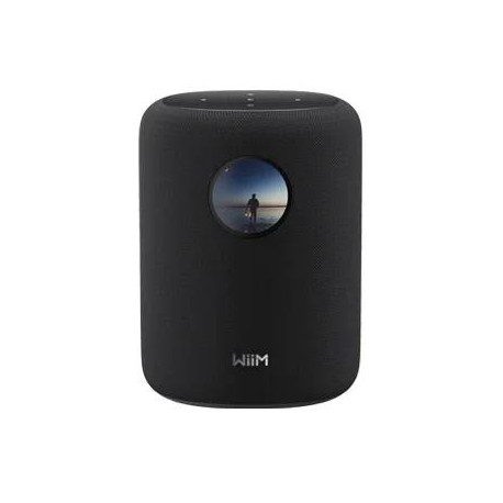 WiiM Sound De 2 vías Negro Inalámbrico y alámbrico 100 W