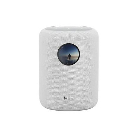 WiiM Sound De 2 vías Blanco Inalámbrico y alámbrico 100 W