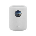 WiiM Sound De 2 vías Blanco Inalámbrico y alámbrico 100 W