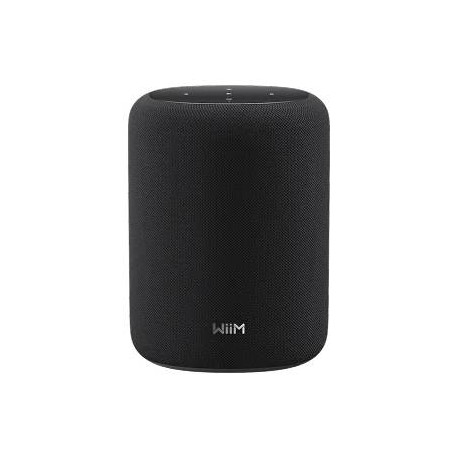 WiiM Sound LITE Altavoz portátil estéreo Blanco 100 W