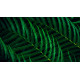 Philips 5000 series 24B2G5301/00 pantalla para PC 60,5 cm (23.8'') 1920 x 1080 Pixeles Full HD LCD Negro