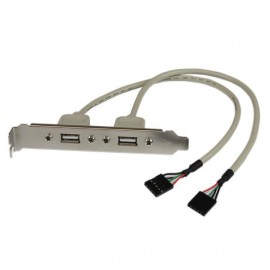 StarTech.com Adaptador de Placa USB A Hembra de 2 puertos USBPLATE