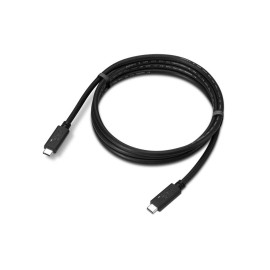 Lenovo 4X91U92143 cable USB USB4 Gen 2x2 1,5 m USB C 20 Gbit/s Negro
