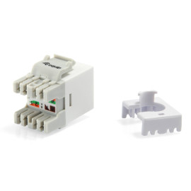 EQUIP - Equip 769213 módulo de conector de red - 4015867203750