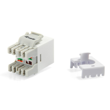 EQUIP - Equip 769213 módulo de conector de red - 4015867203750