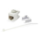 EQUIP - Equip 769213 módulo de conector de red - 4015867203750