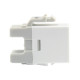 EQUIP - Equip 769213 módulo de conector de red - 4015867203750