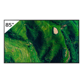 85 Pro BRAVIA 500nit DBNG Standard