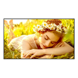 LG - LG 65UL5Q-E Pantalla plana para señalización digital 165,1 cm (65'') LED Wifi 500 cd / m² 4K