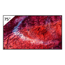 75 Pro BRAVIA 700nit DBNG Premium