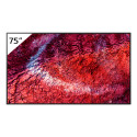 75 Pro BRAVIA 700nit DBNG Premium