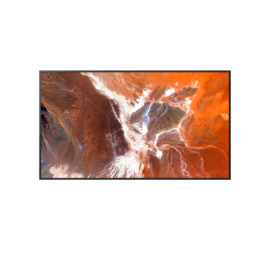 55 Pro BRAVIA 400nit DBNG Standard