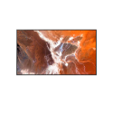 55 Pro BRAVIA 400nit DBNG Standard